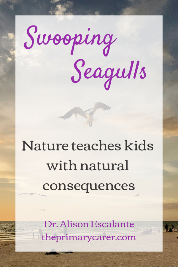 Swooping Seagulls: Nature teaches kids with natural consequences. #parentingtips #parentinghacks #familyvacation