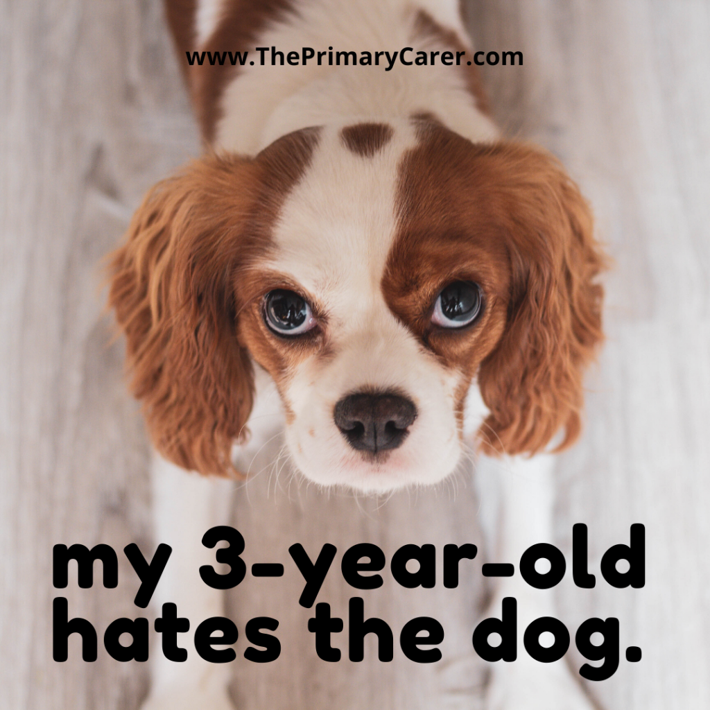 Why Does My 3yearold Hurt the Dog? Alison Escalante MD