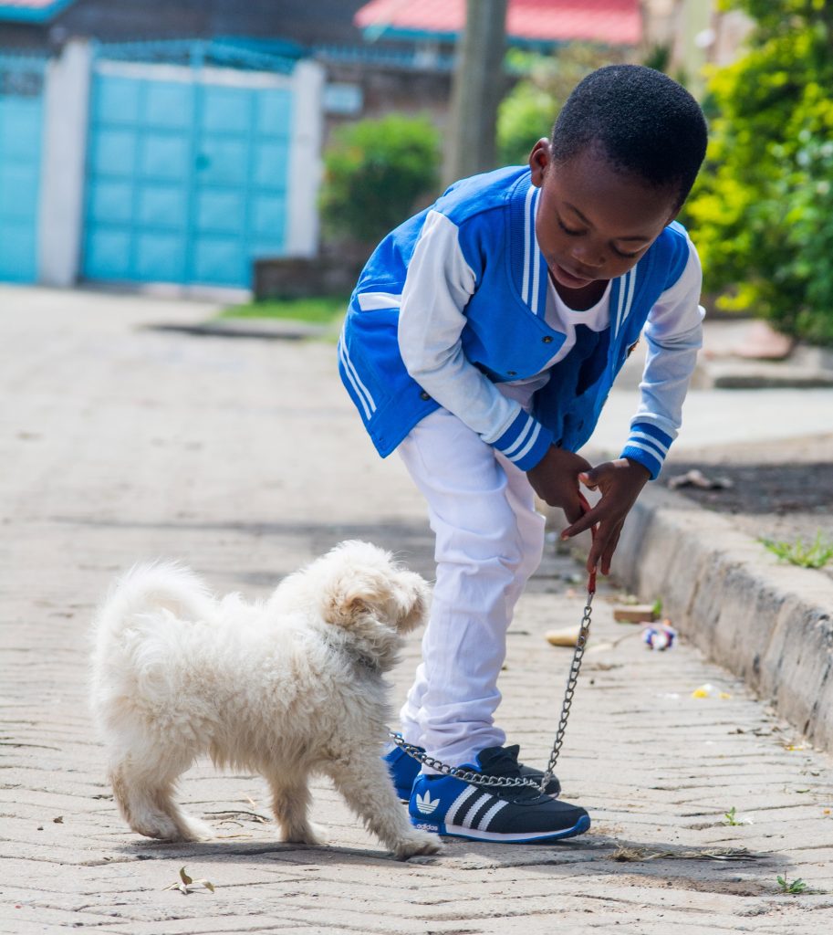 A Parenting Puzzler: We adopted a dog, and my 3-year-old son seems to be acting out because maybe he is jealous? He’s normally very kind and gentle, but has been acting out in a general and has been a bit aggressive or overzealous to the dog. He’s not responding to our respectful interference. #parentingtips #parenting #dogs #behaviormanagement